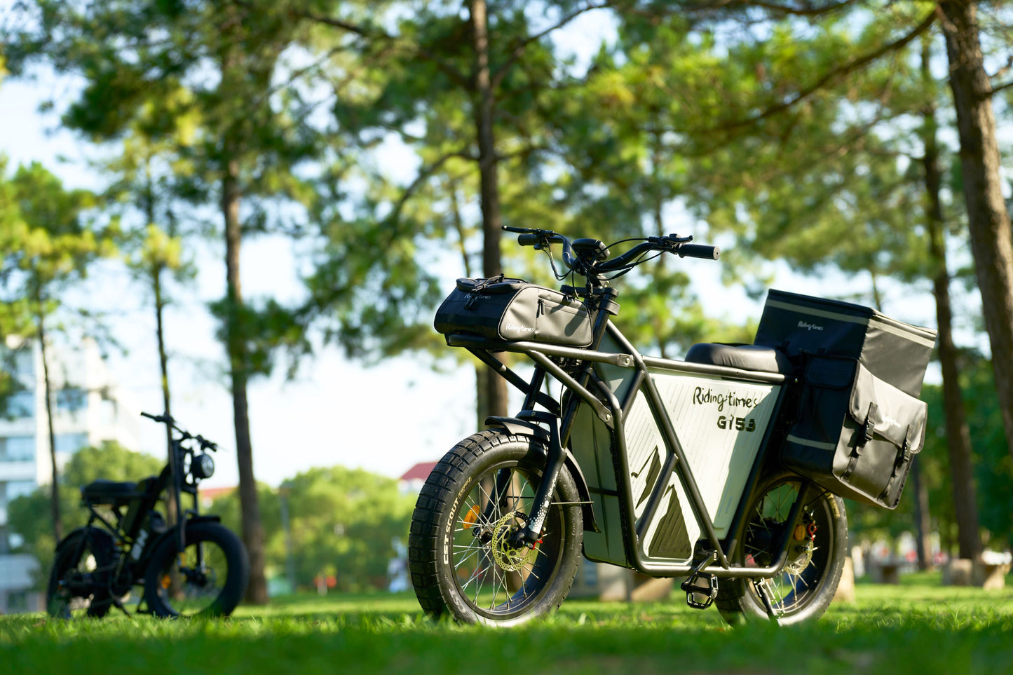 GT53 Cargo E-Motorbike