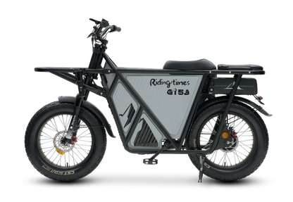 GT53 Cargo E-Bike