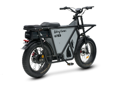 GT53 Cargo E-Bike