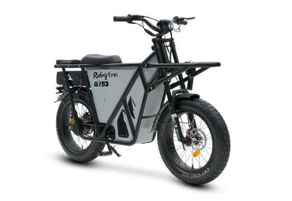 GT53 Cargo E-Bike