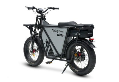 GT53 Cargo E-Bike