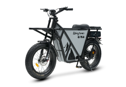 GT53 Cargo E-Bike