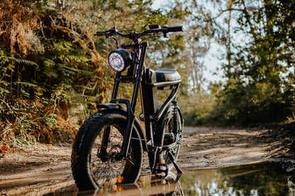 Z8 E-Motorbike