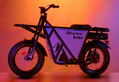 GT53 Cargo E-Bike